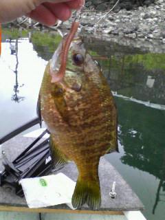070609_12.jpg
