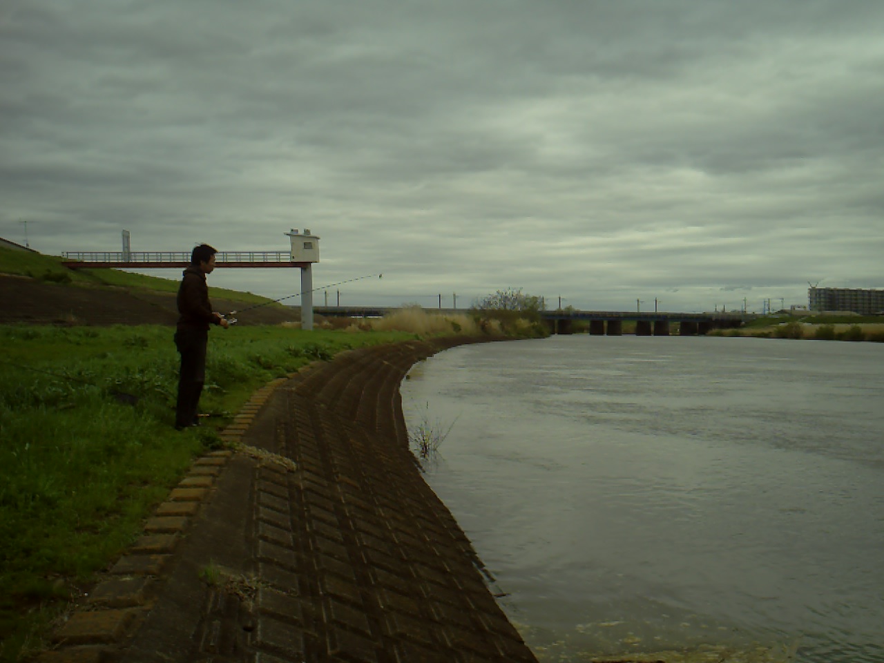 080308_053151_M.jpg