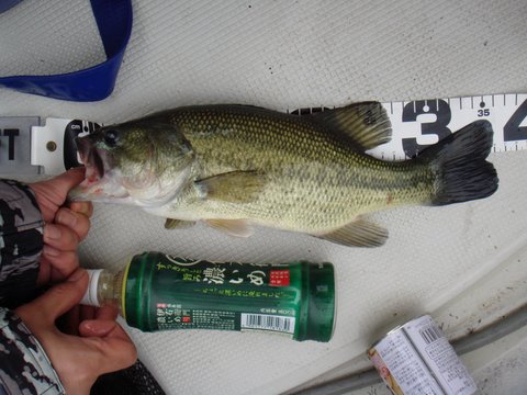 080308_053151_M.jpg