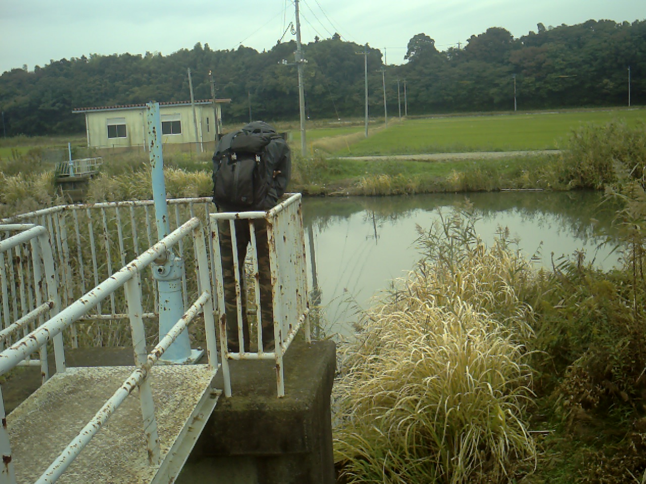 08.jpg