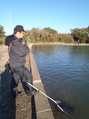 12.JPG - 70,725BYTES