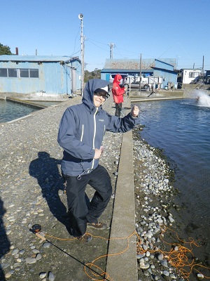 8.JPG - 135,420BYTES