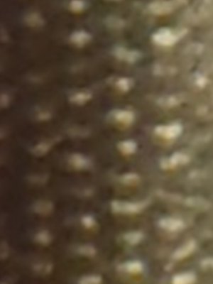 13.JPG - 71,601BYTES