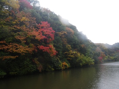 4.JPG - 114,916BYTES